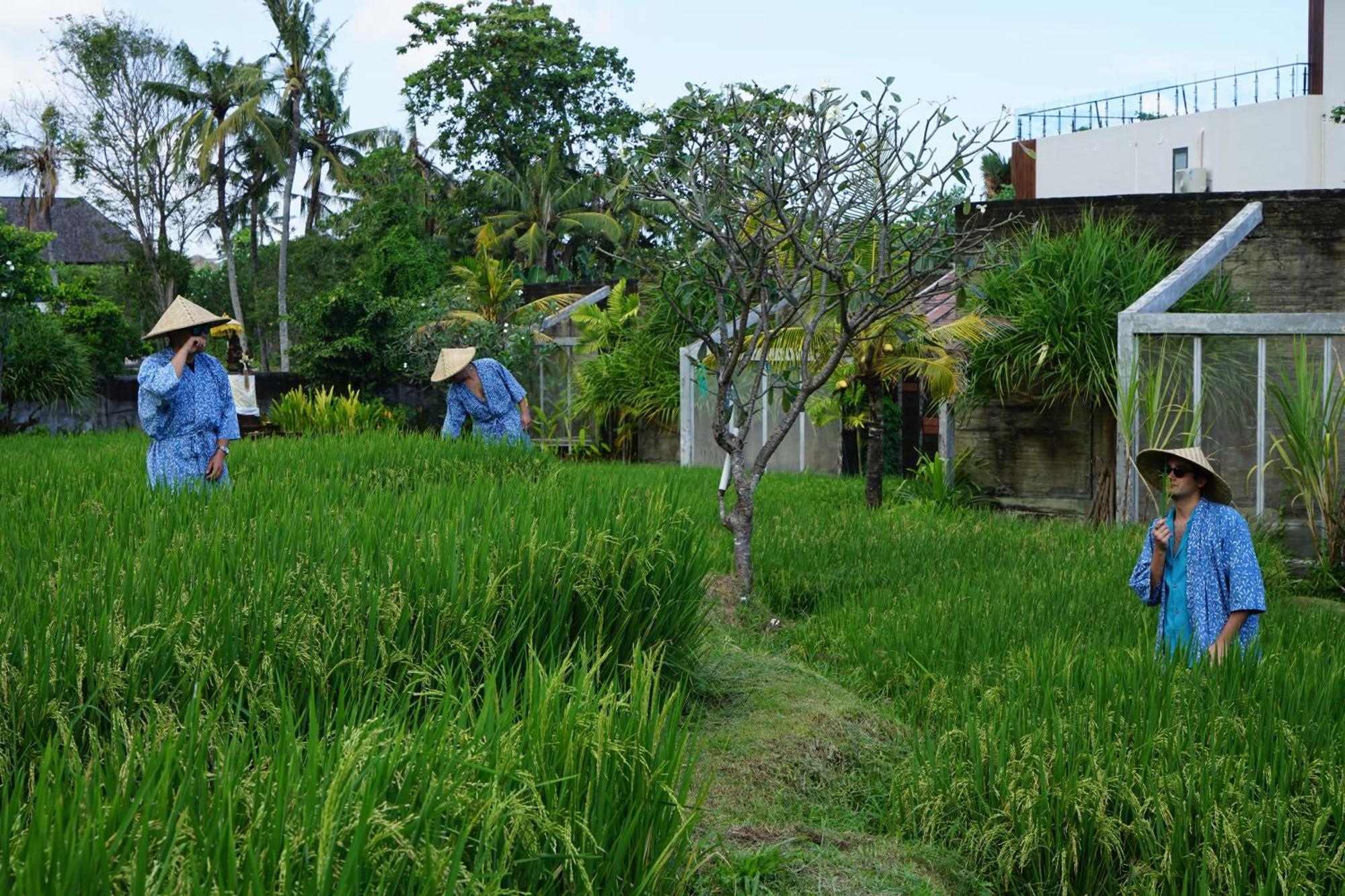 Shore Amora Canggu Dış mekan fotoğraf