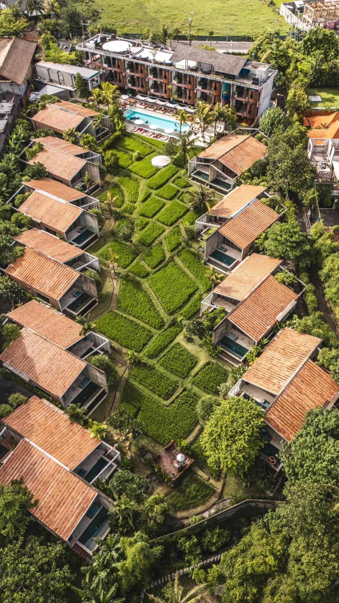 Shore Amora Canggu Dış mekan fotoğraf